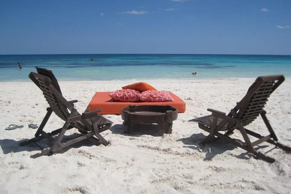 Chica Hotell Tulum